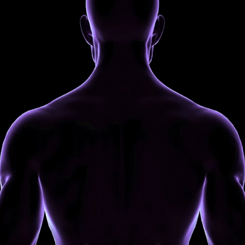 MASSAGE CHAIR FEATURES